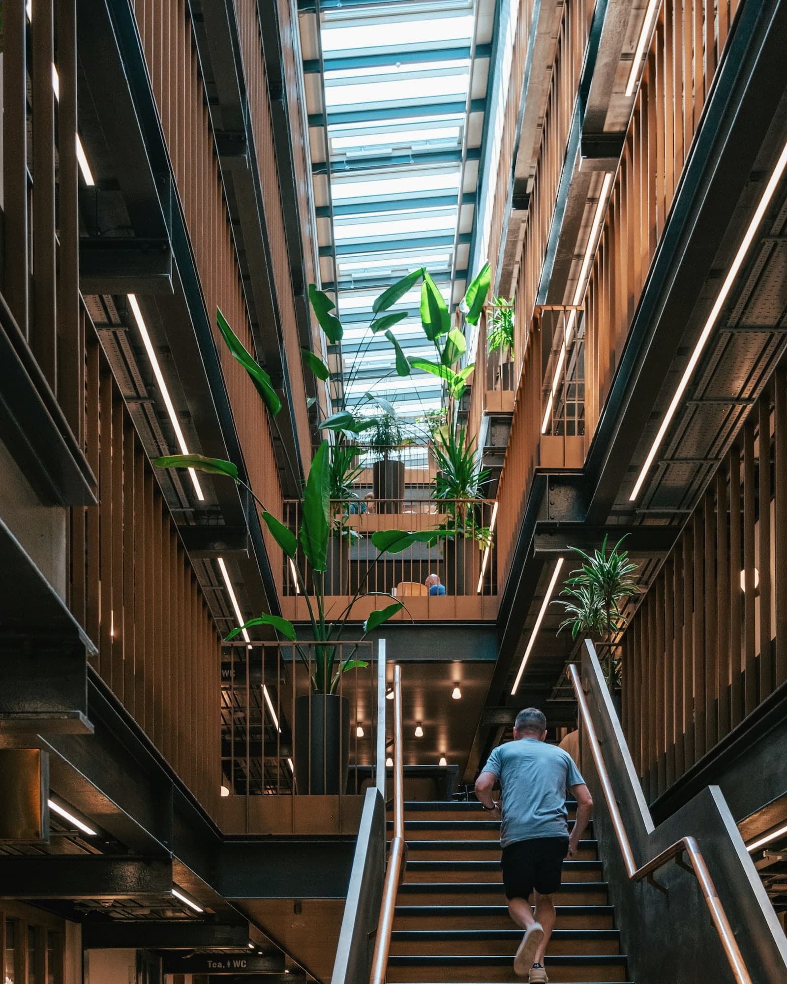Mann geht von hinten gesehen eine Treppe in einem Büroatrium mit Holzlamellen, Oberlicht und großen Pflanzen hinauf